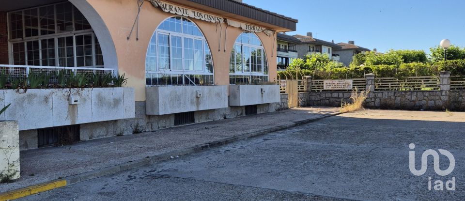 Tienda / local comercial de 700 m² en Urbanización Los Cisnes (37190)