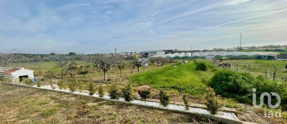 Terreny agrícola de 2.700 m² a Cartaya (21450)