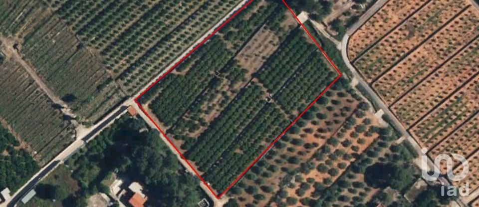 Terra de 10.661 m² a Canals (46650)