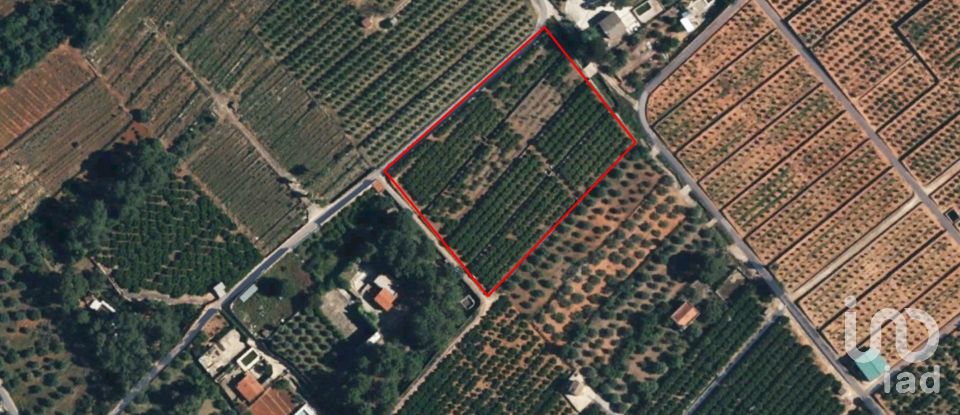 Terra de 10.661 m² a Canals (46650)