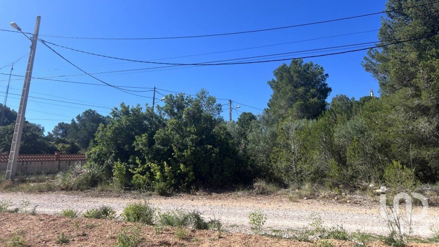 Land of 2,267 m² in La Juncosa del Montmell (43718)