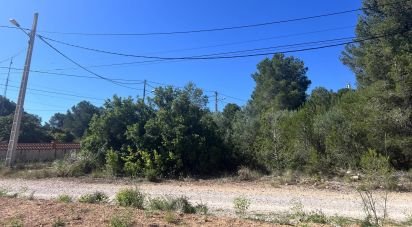 Land of 2,267 m² in La Juncosa del Montmell (43718)