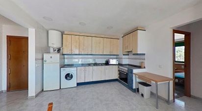 Appartement 2 chambres de 80 m² à Miami-Platja (43892)