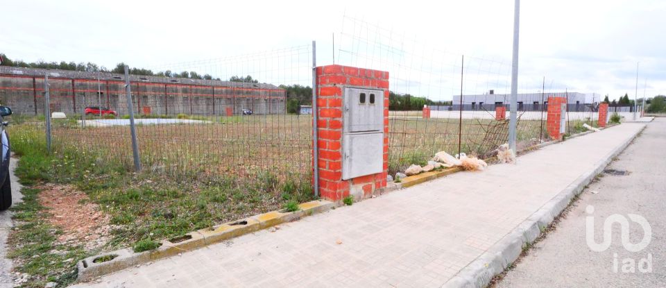 Terreno de 3.260 m² en Sant Mateu (12170)