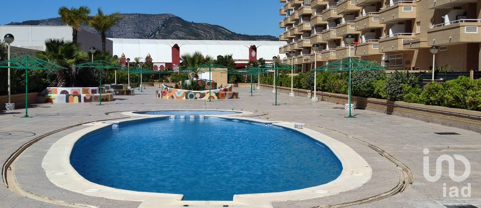 Apartment 2 bedrooms of 63 m² in Oropesa/Oropesa del Mar (12594)