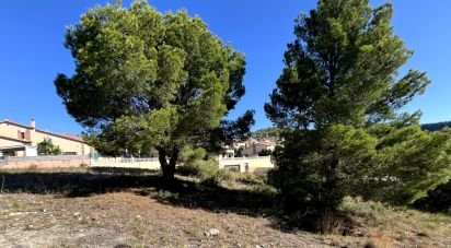 Land of 447 m² in Roda de Bara (43883)