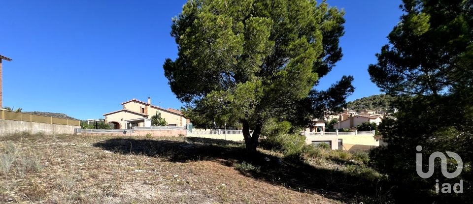 Land of 447 m² in Roda de Bara (43883)