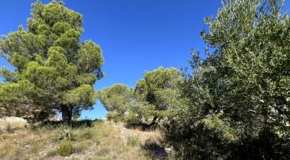 Land of 447 m² in Roda de Bara (43883)