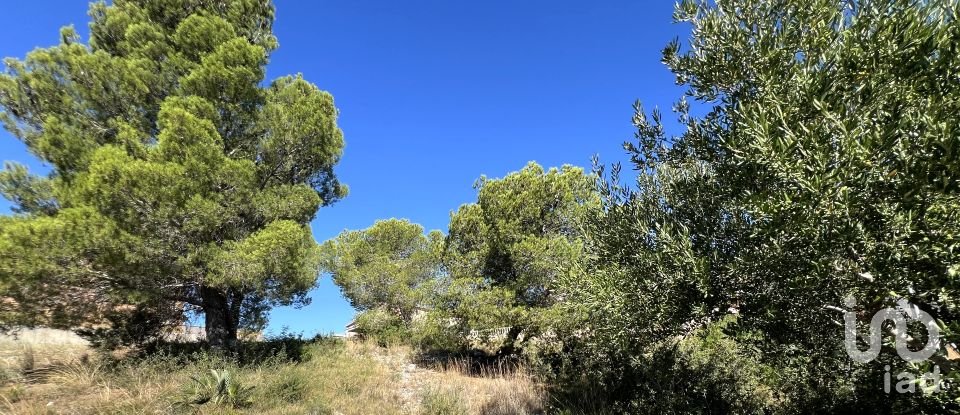 Terreno de 447 m² en Roda de Bara (43883)