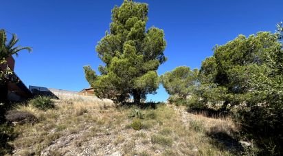 Land of 447 m² in Roda de Bara (43883)