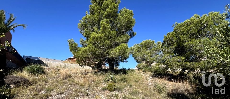 Land of 447 m² in Roda de Bara (43883)