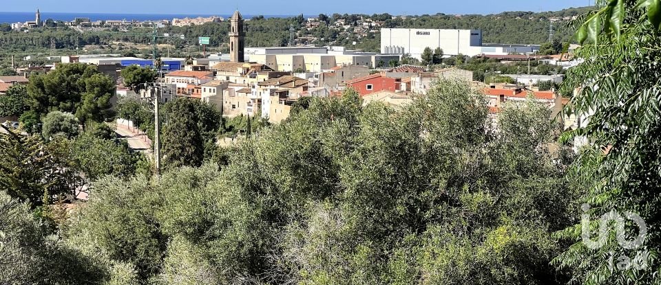 Land of 447 m² in Roda de Bara (43883)