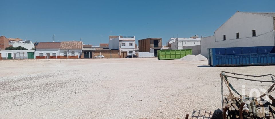 Terreno de 3.986 m² en Cañada Rosal (41439)