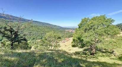 Terreno agricola de 110.000 m² en Hervás (10700)