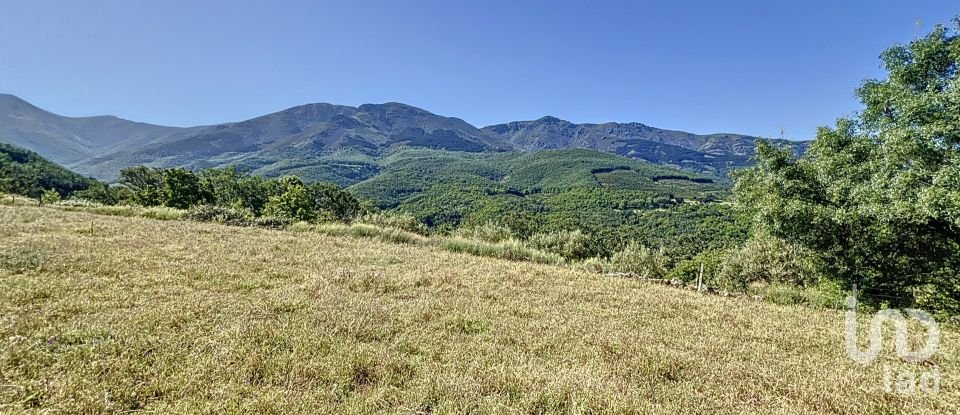 Agricultural land of 110,000 m² in Hervás (10700)