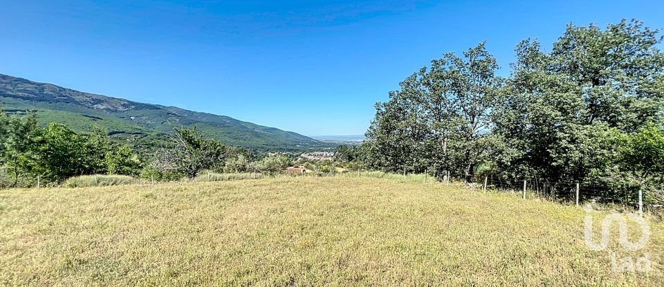 Agricultural land of 110,000 m² in Hervás (10700)