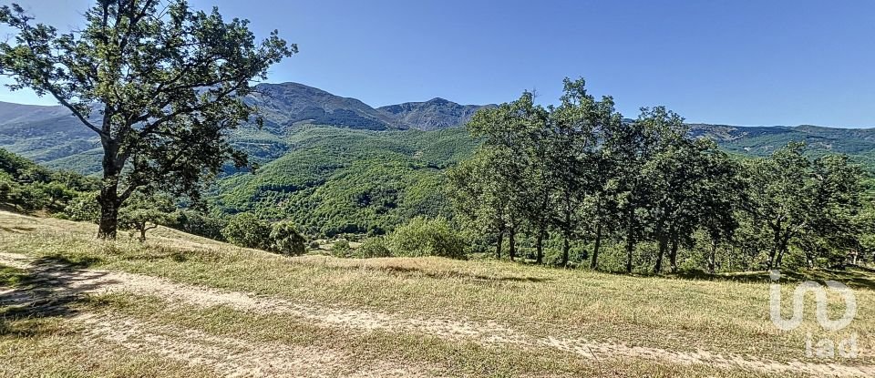 Agricultural land of 110,000 m² in Hervás (10700)