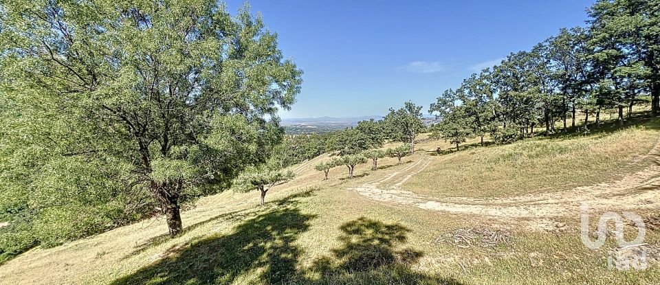 Tierra agrícola de 110.000 m² en Hervás (10700)