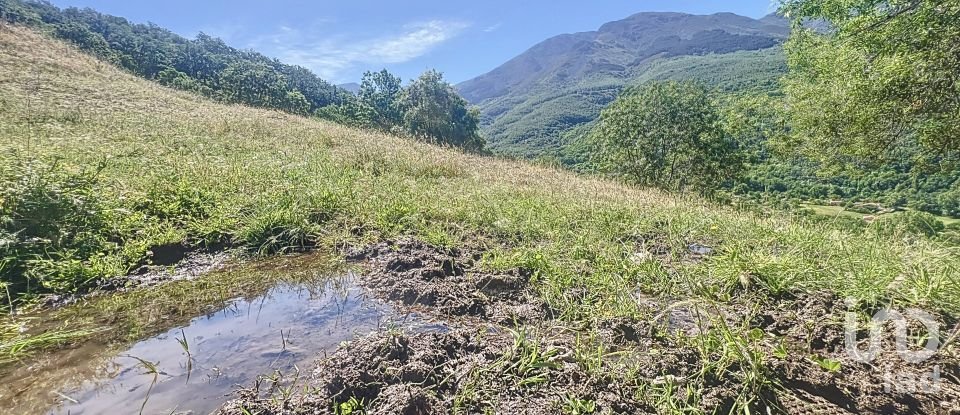 Agricultural land of 110,000 m² in Hervás (10700)