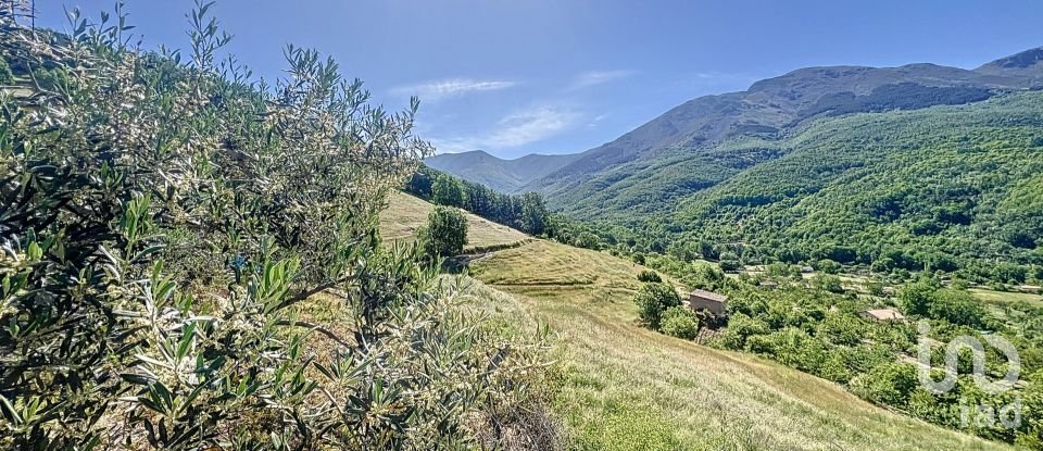 Tierra agrícola de 110.000 m² en Hervás (10700)