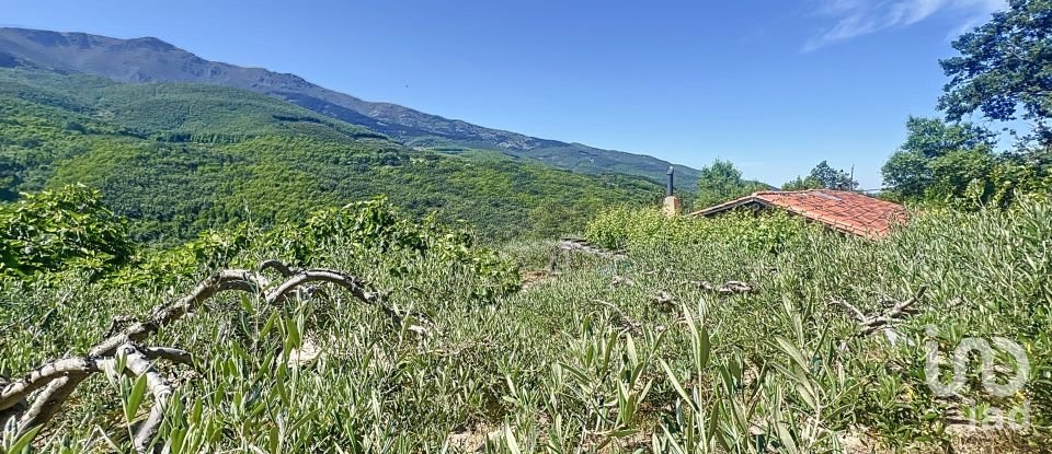 Agricultural land of 110,000 m² in Hervás (10700)