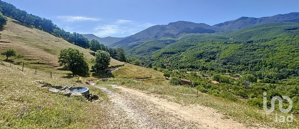 Tierra agrícola de 110.000 m² en Hervás (10700)