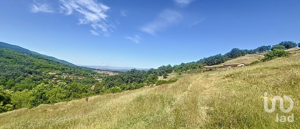 Tierra agrícola de 110.000 m² en Hervás (10700)