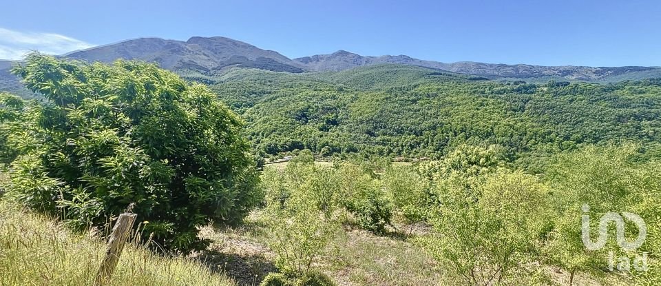 Agricultural land of 110,000 m² in Hervás (10700)