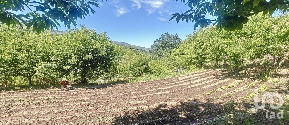 Agricultural land of 110,000 m² in Hervás (10700)