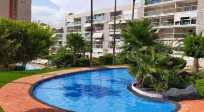 Apartment 2 bedrooms of 78 m² in Benidorm (03503)