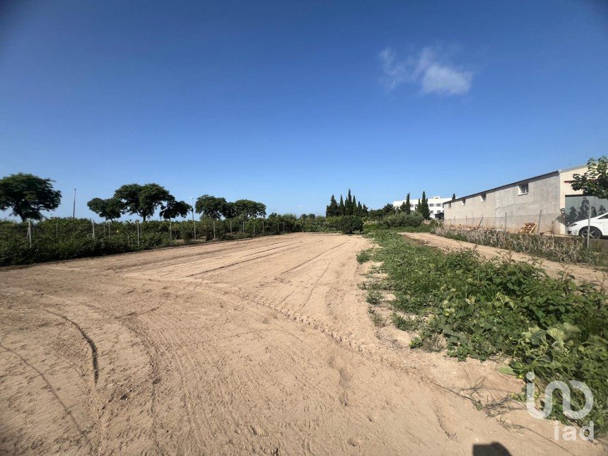 Land of 1,173 m² in Deltebre (43580)