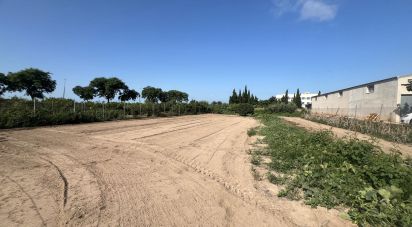 Terreno de 1.173 m² en Deltebre (43580)