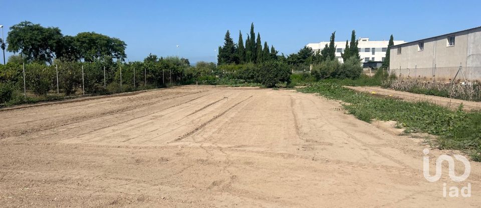 Terreno de 1.173 m² en Deltebre (43580)