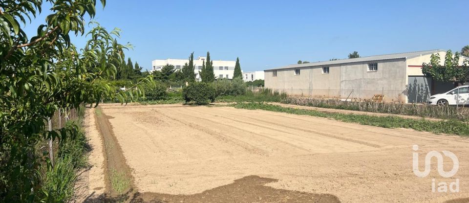 Terreno de 1.173 m² en Deltebre (43580)