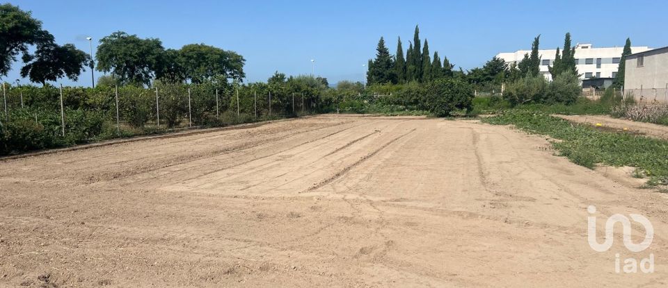 Terreno de 1.173 m² en Deltebre (43580)