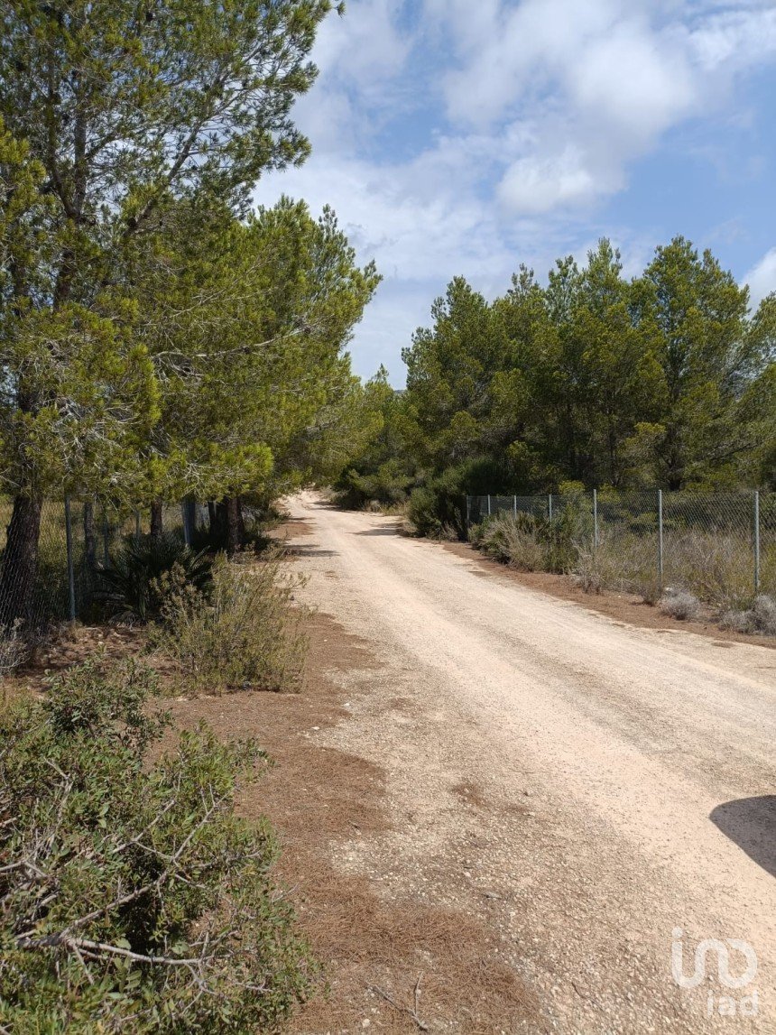 Terreno de 15.000 m² en L'Ametlla de Mar (43860)