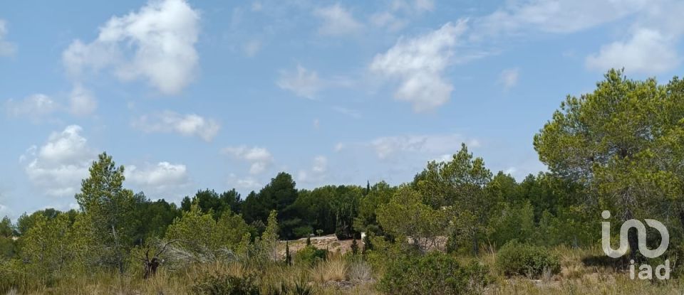 Terreno de 15.000 m² en L'Ametlla de Mar (43860)