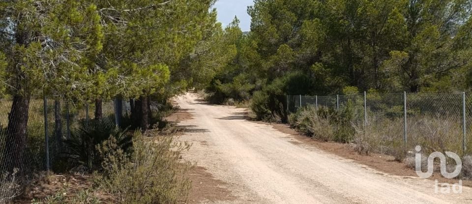 Terreno de 15.000 m² en L'Ametlla de Mar (43860)