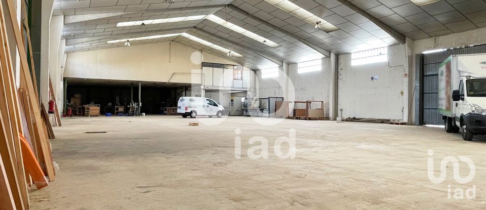 Workshop of 1,019 m² in Anna (46820)