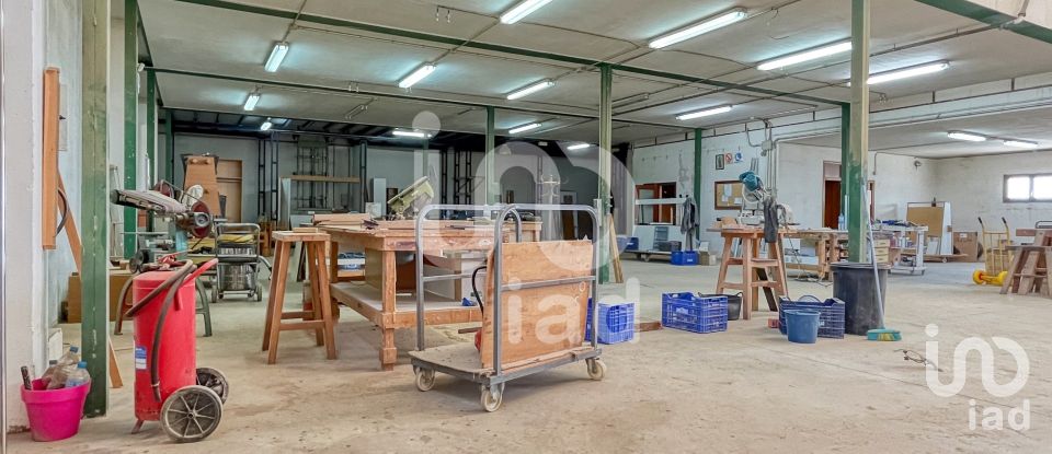 Workshop of 1,019 m² in Anna (46820)