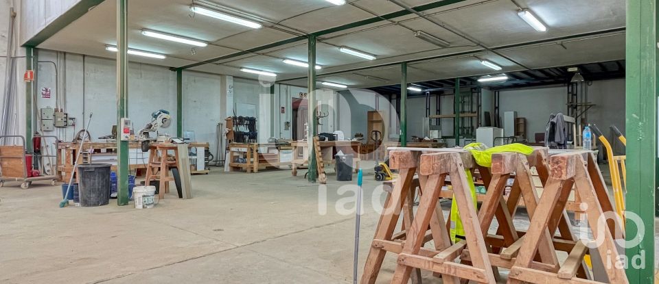 Workshop of 1,019 m² in Anna (46820)