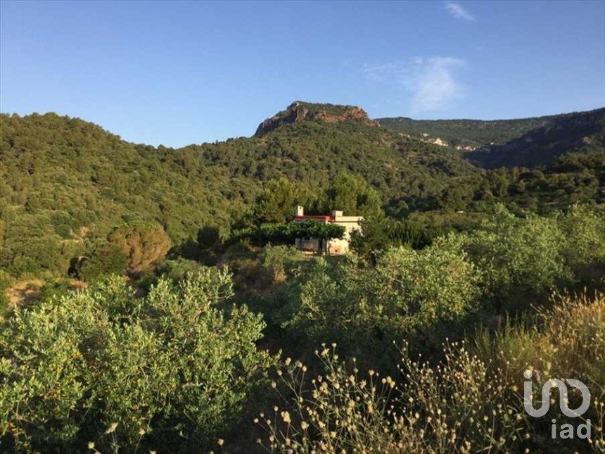 Agricultural land of 30,823 m² in Alforja (43365)