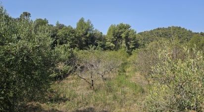 Terrain agricole de 30 823 m² à Alforja (43365)