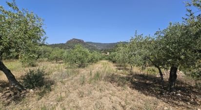 Terrain agricole de 30 823 m² à Alforja (43365)