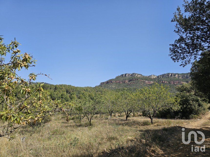 Terrain agricole de 30 823 m² à Alforja (43365)