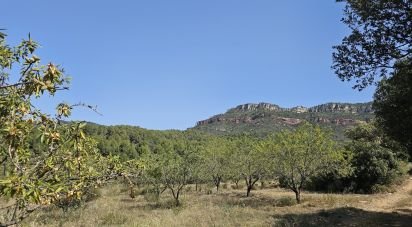 Agricultural land of 30,823 m² in Alforja (43365)