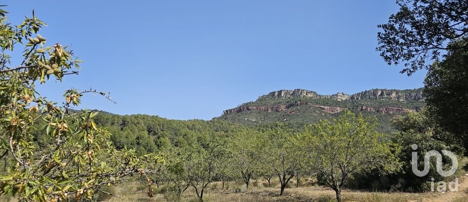 Terrain agricole de 30 823 m² à Alforja (43365)