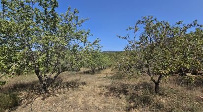 Tierra agrícola de 30.823 m² en Alforja (43365)