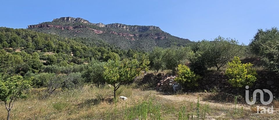 Agricultural land of 30,823 m² in Alforja (43365)