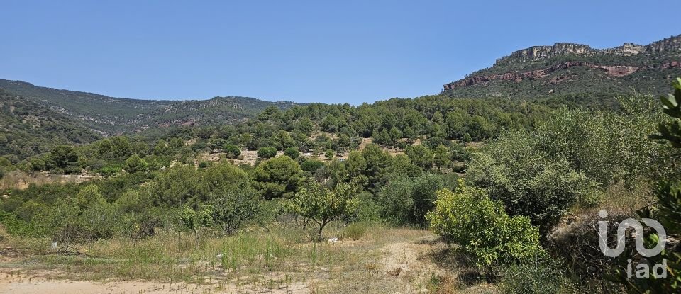 Terrain agricole de 30 823 m² à Alforja (43365)